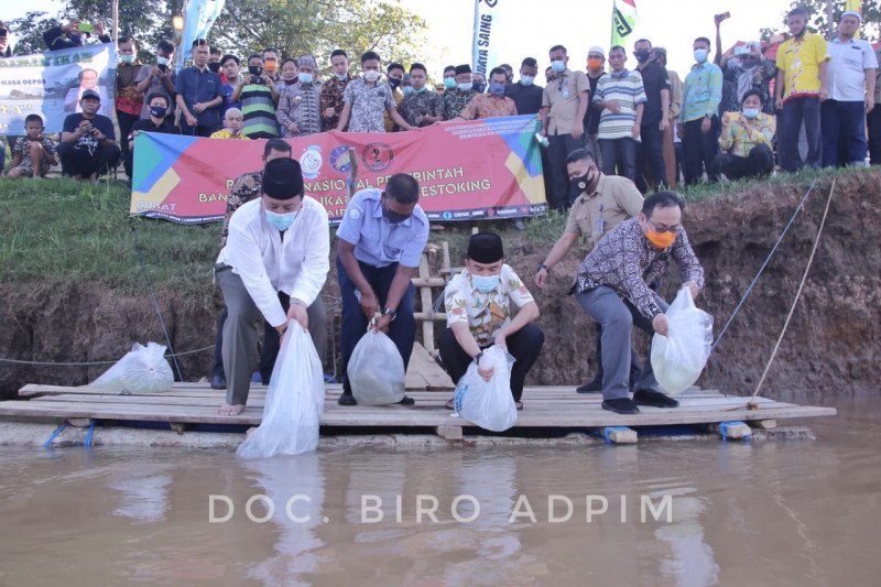 Gubernur tebar ribuan bibit ikan di Sungai Tiuh Waykanan
