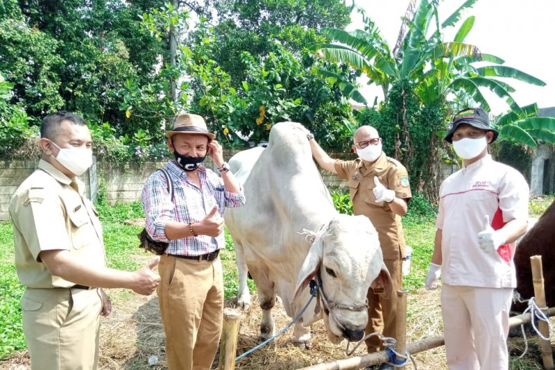 Hewan kurban yang dijual di lapak Kota Sukabumi dipastikan kondisinya sehat