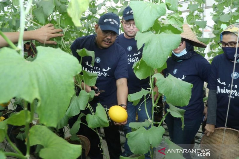 Kagum teknologi pertanian IPB, Gus Jazil ajak milenial bertani