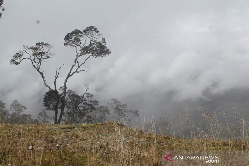 BMKG Curah hujan di Kabupaten Jayawijaya masih normal ANTARA News Papua