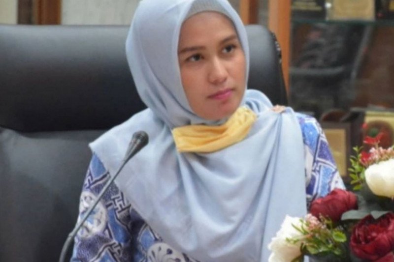 Legislator ini dukung upaya Gubernur Riau jemput bola ke pusat