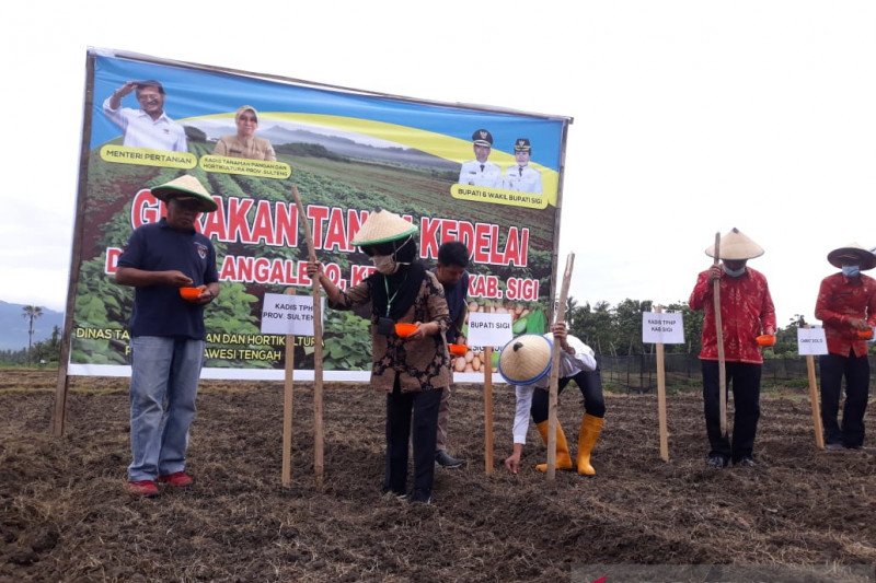 Sulteng dukung program pengembangan kedele untuk tekan impor