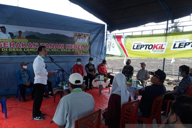 Bupati Sigi minta Pemprov Sulteng bantu buka jalur pasar kedelai