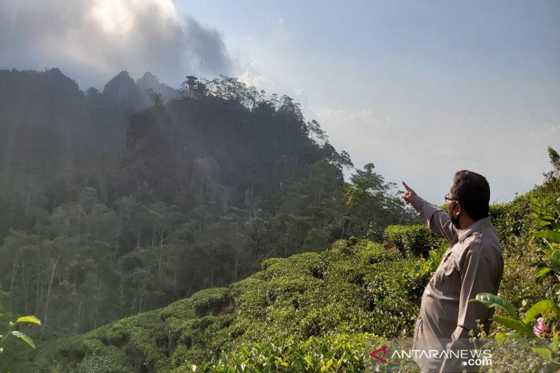 Dinas Pariwisata Kulon Progo  diminta membina pelaku wisata 