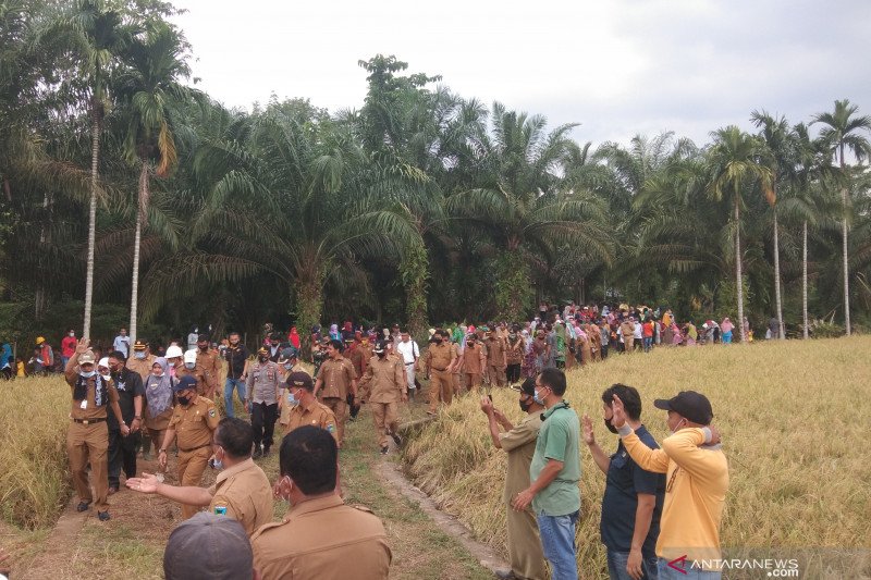 Warga antusias sambut kedatangan Bupati Hendrajoni di Pondok Parian