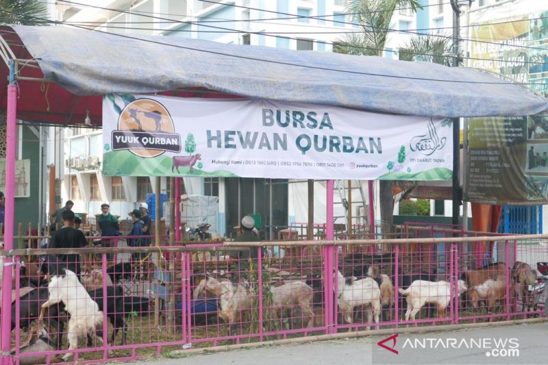 Pemkot Bekasi beri label halal dan layak ribuan hewan kurban