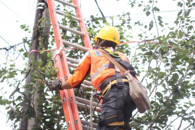 PLN Jabar siagakan 3.017 personel terkait Idul Adha 1441 H