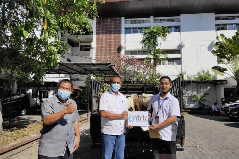 ITDC menyalurkan 26 hewan kurban untuk masyarakat NTB