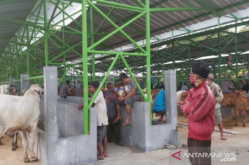Permintaan hewan kurban meningkat menjelang Idul Adha