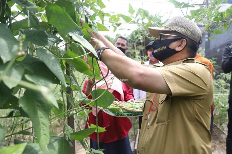 Kagum dengan Potensi Perkebunan Lada di Mangkupadi