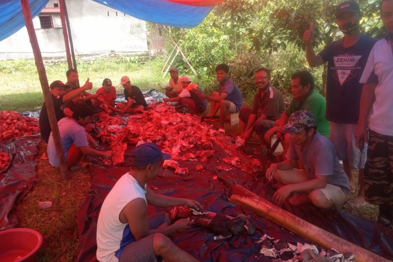 LDII Agam membagikan 1.000 kantong daging kurban