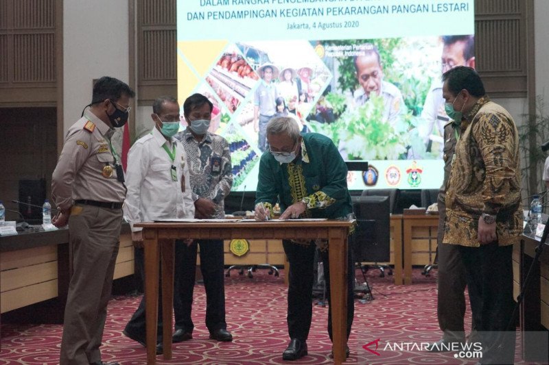 BKP gandeng IPB kembangkan diversifikasi pangan lokal