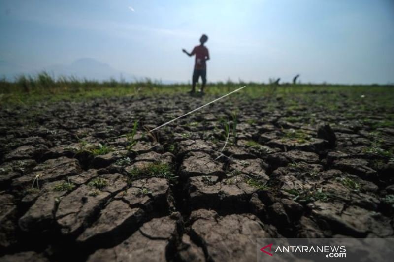 POTENSI KEKERINGAN METEOROLOGIS