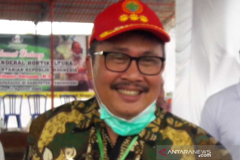 Penyerapan KUR bidang hortikultura masih rendah - ANTARA ...