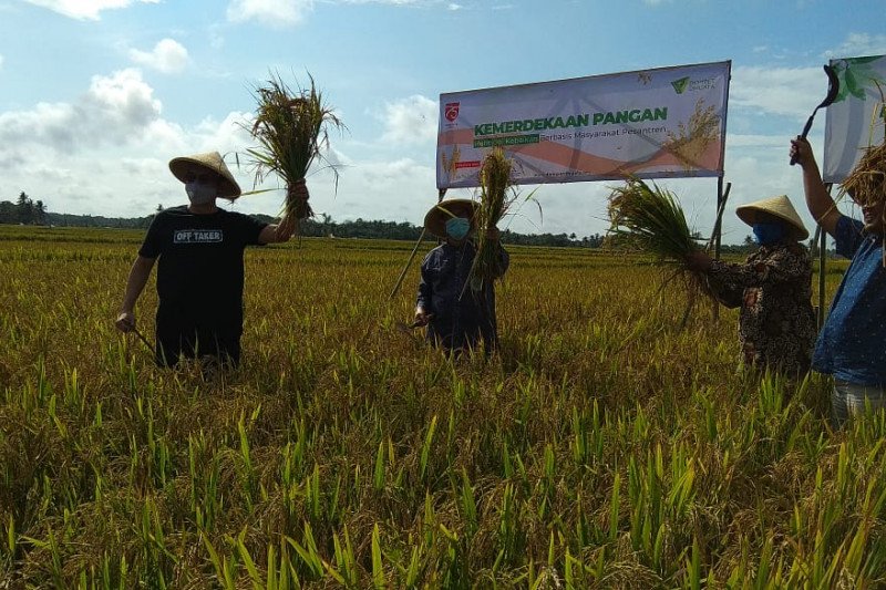 DD akan kembangkan pertanian berbasis pesantren 1.000 ha di Sukabumi