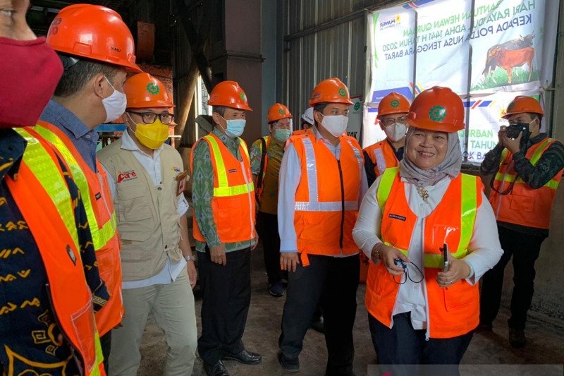 Kemenko Marves Siap Bantu Pengembangan Program JOSS PLN NTB - ANTARA News