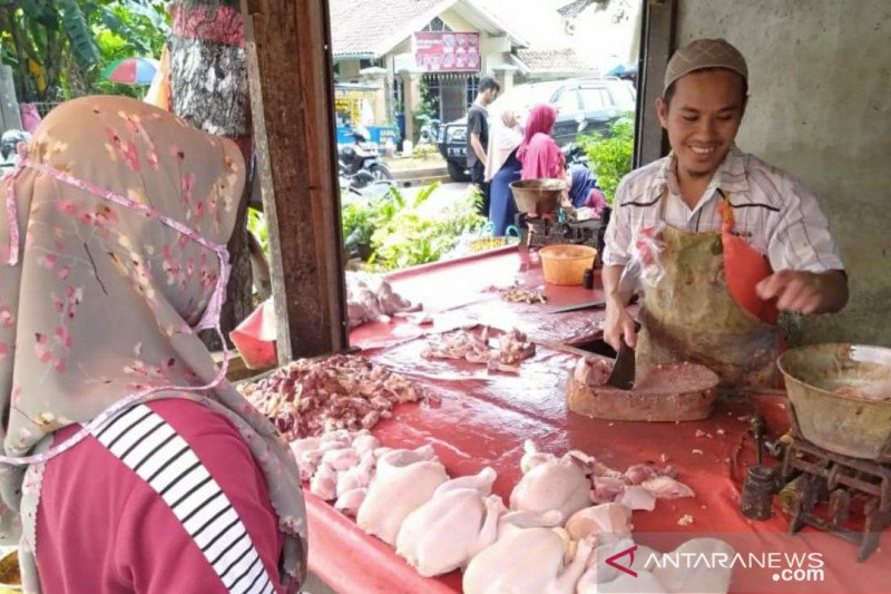 Harga daging ayam di pasar tradisional Cianjur kembali turun