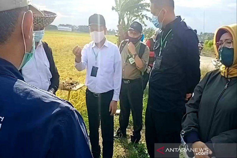 Sejumlah Pembangunan Infrastruktur Dilaksanakan Menunjang Food Estate Di Kapuas Antara News Kalimantan Tengah Berita Terkini Kalimantan Tengah