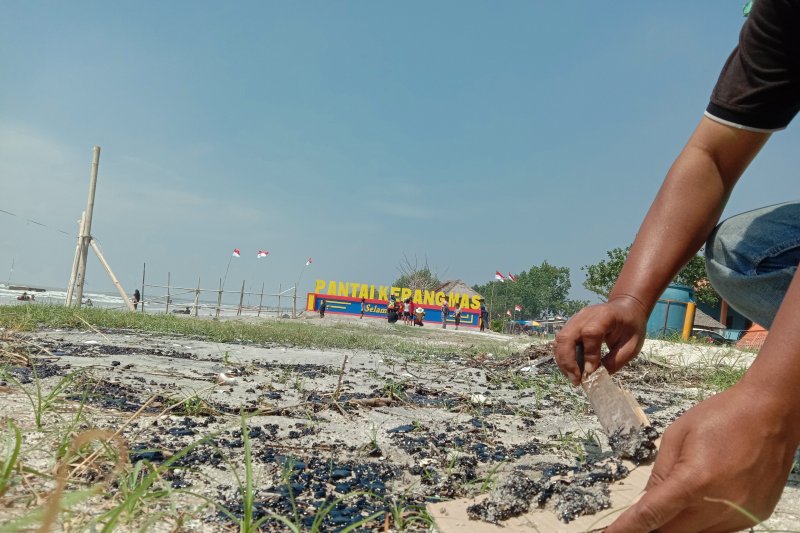 Limbah seperti ter aspal yang mengotori pantai Lampung Timur