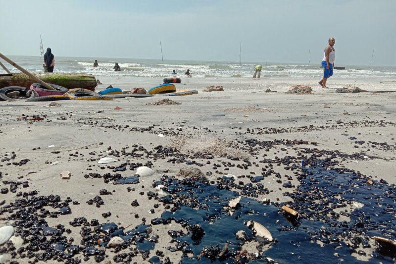 Limbah seperti ter aspal berminyak yang mengotori pantai Lampung Timur