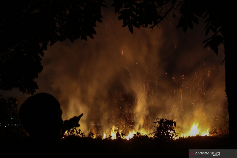 Mantan Menteri LH Sarwono: Penanganan kebakaran hutan saat ini jauh lebih baik