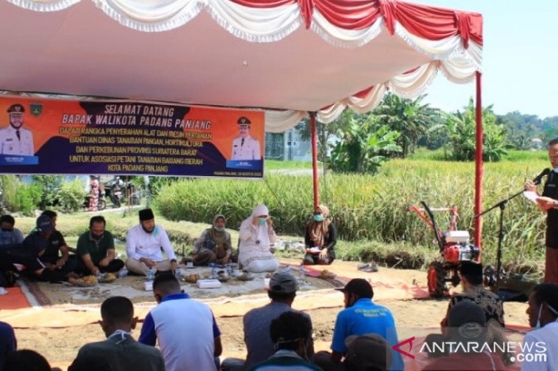 Petani bawang merah di Padang Panjang terima bantuan untuk tingkatkan produksi