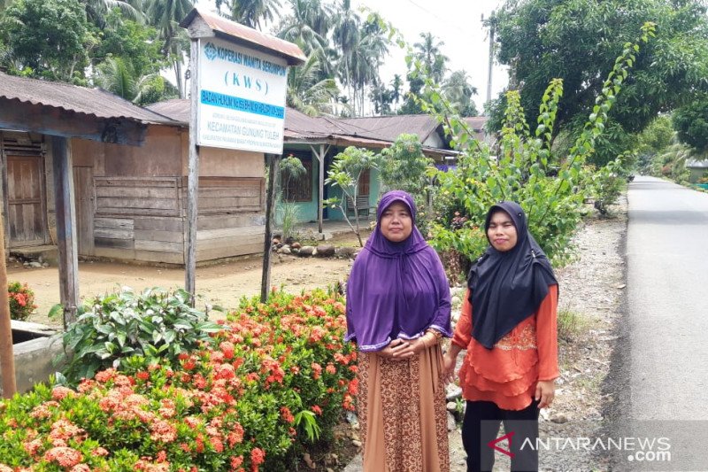 Dampak Covid 19 Ratusan Koperasi Simpan Pinjam Di Pasaman Barat Macet Antara Sumbar<script async src=