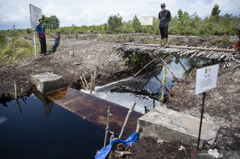 Kepala BRG Tinjau Sekat Kanal Lahan Gambut OKI