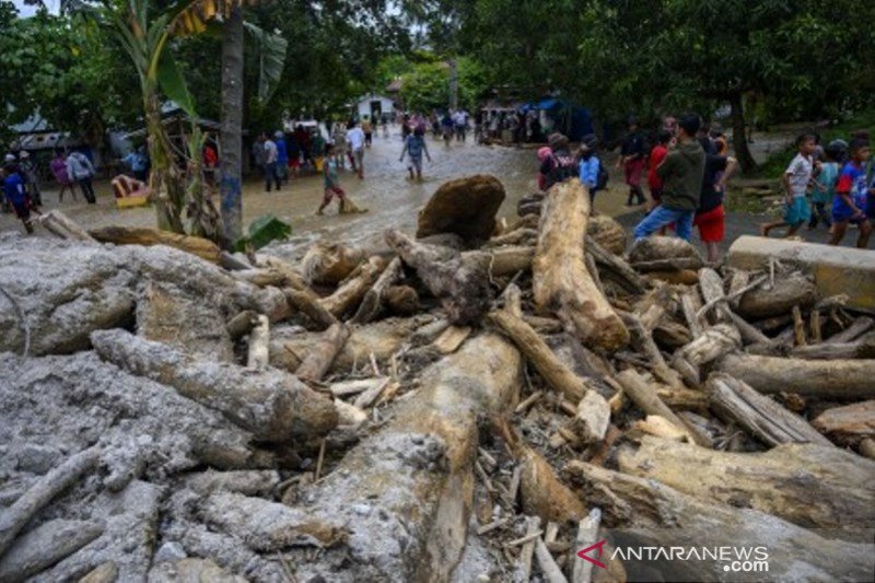 Tumpukan kayu timbun jalan akibat banjir bandang di Sigi