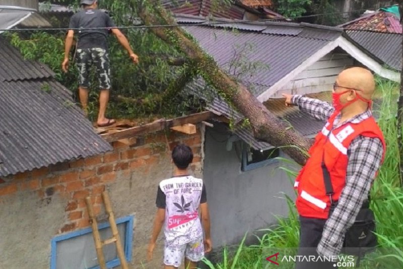 Angin kencang rusak rumah dan tumbangkan pohon di Kota Sukabumi