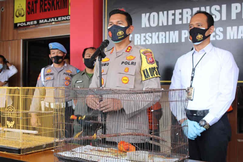 Polisi Majalengka tangkap penjual satwa dilindungi