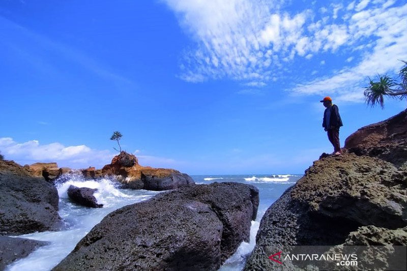 travel bengkulu padang