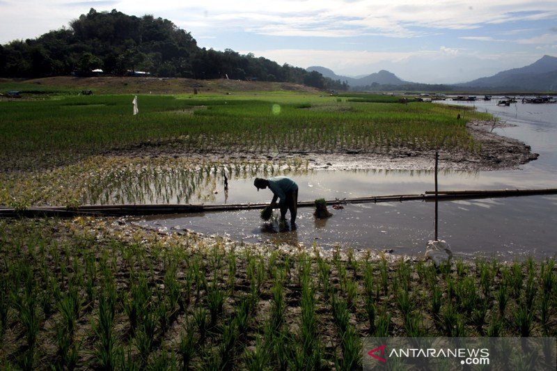 Pemanfaatan Waduk Bili-bili pada musim kemarau