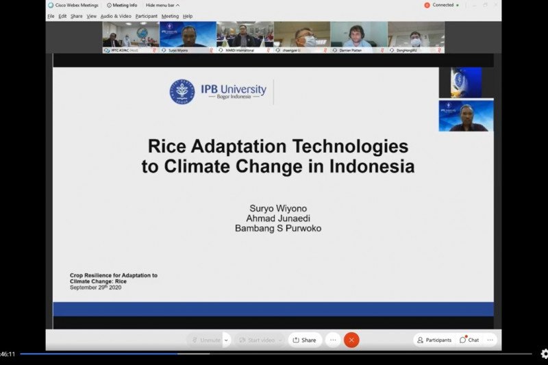 IPB perkenalkan teknologi padi Indonesia di internasional