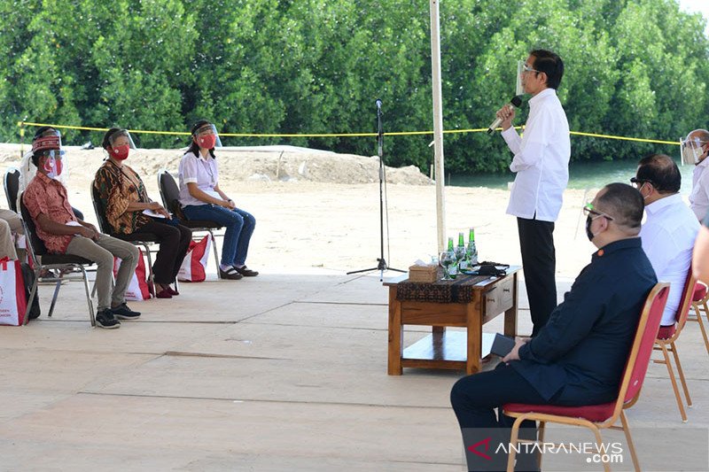 Presiden Jokowi ajak pedagang martabak, nasi uduk jualan secara daring
