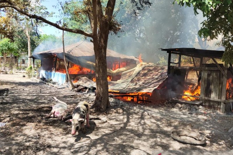 Satu meninggal dan tujuh rumah dibakar di Kupang akibat bentrokan warga