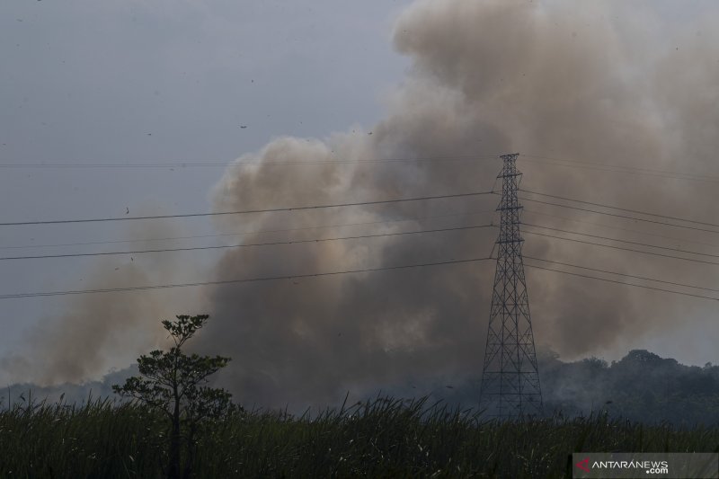 Kebakaran Lahan Di Tanjung Barangan