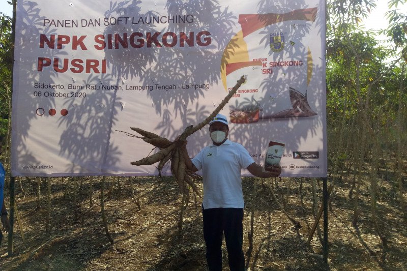 Pusri luncurkan NPK singkong guna tingkatkan produksi di atas 50 persen