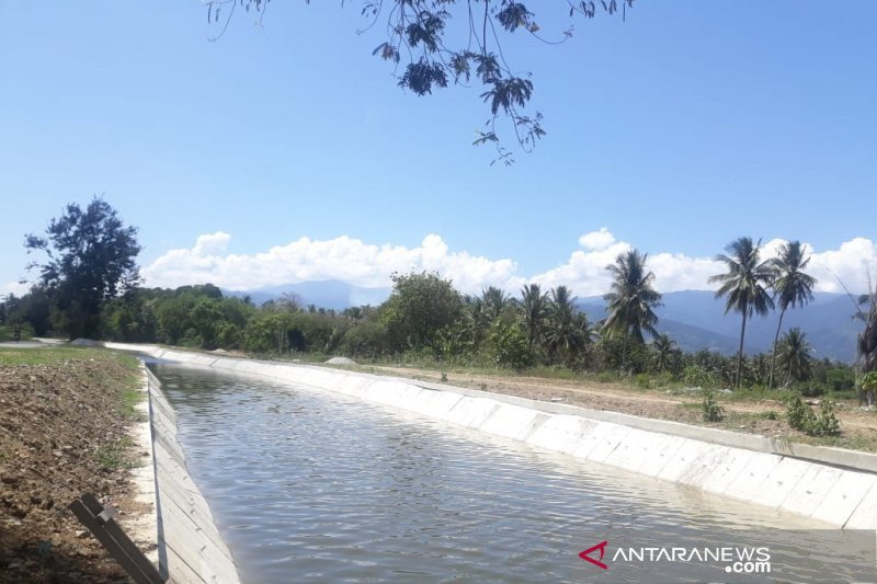 Lahan pertanian di Sigi sudah diolah kembali 1.017 hektare