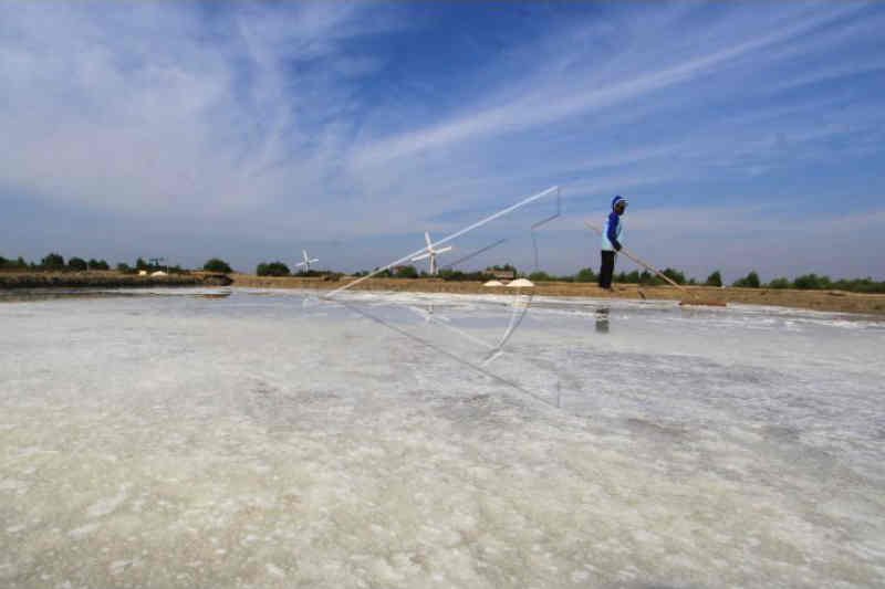 Produksi garam rakyat Cirebon turun drastis