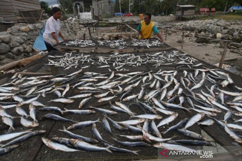 Fenomena La Nina ancam usaha ikan kering