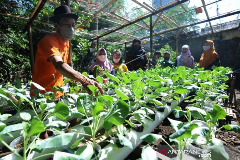 Edukasi Pertanian dan Perikanan Siswa SD