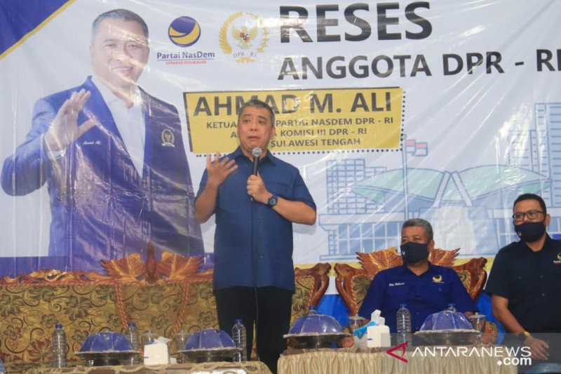 Ahmad Ali: Pemerintah bantu Rp500 miliar petani di Parigi Moutong