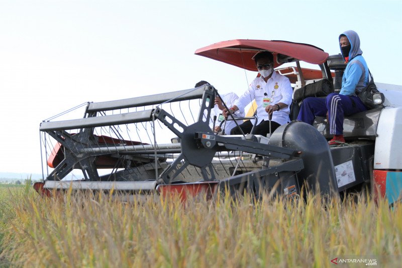 PANEN RAYA MENTERI PERTANIAN DI KONAWE SELATAN