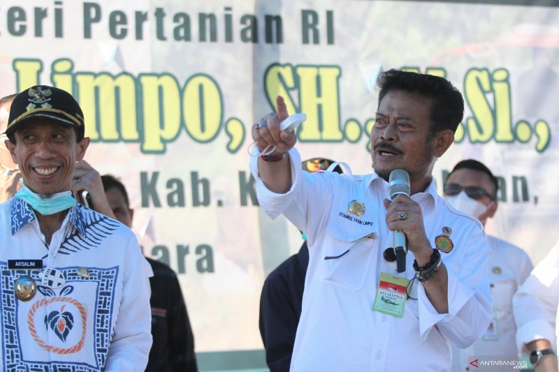 PANEN RAYA MENTERI PERTANIAN DI KONAWE SELATAN