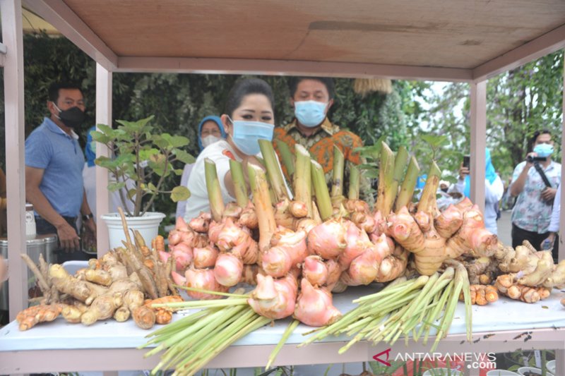 Aneka rempah di Festival Rempah Sumsel