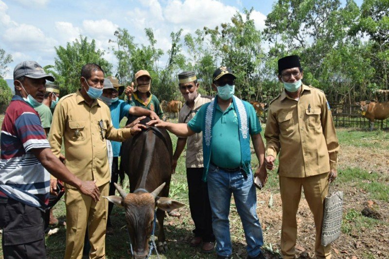 Kunjungi Dompu, Plt Gubernur Kalteng sebut pertanian mampu topang ekonomi masyarakat