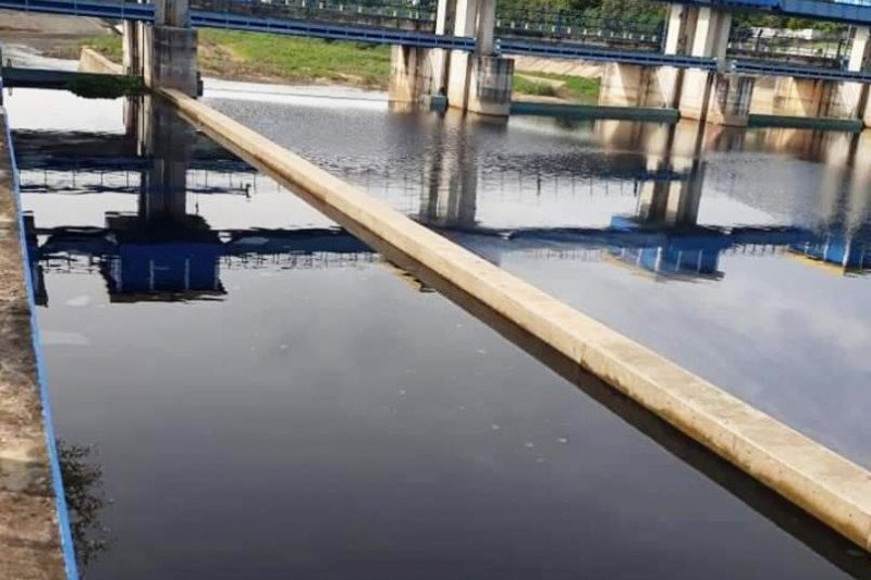Sungai Way Sekampung di Lampung Timur kembali tercemar limbah