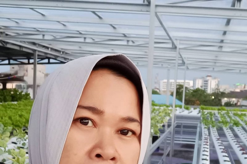 Ketua aphothik Kalsel : prosepek tanaman hidroponik cukup menjanjikan