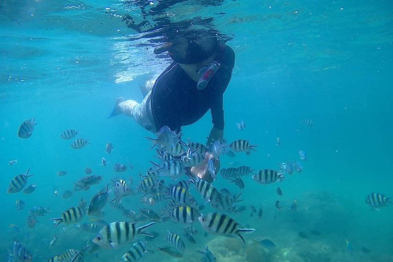 Pelaku wisata kelong apung di Bintan diuntungkan libur panjang